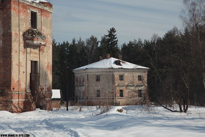 Усадьба Петровская (Княжищево)