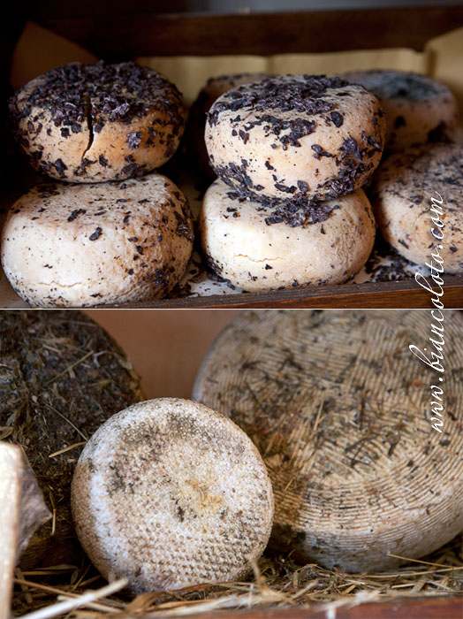 Пьенца. Тоскана. Италия