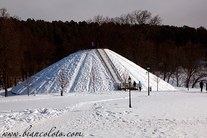 Усадьба Дубровицы