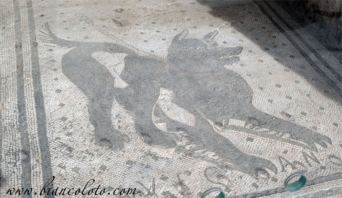 Помпейский серый 