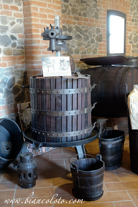 Музей. Medici Ermete 