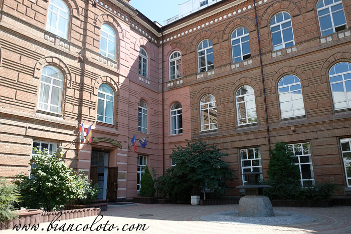 Донская казачья гвардия