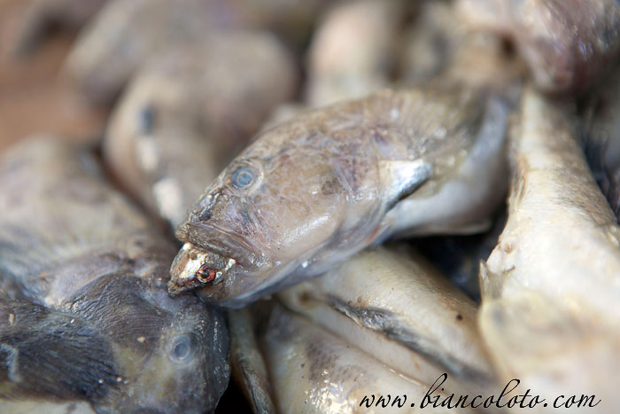 Центральный рынок Ростова-на-Дону