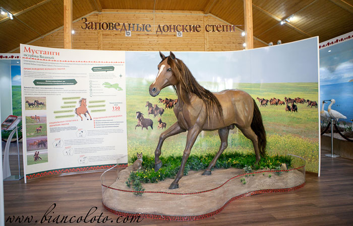 Музей заповедника