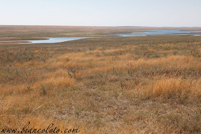 Степь поет, судак в Дону резвится