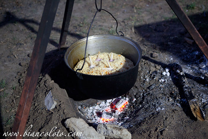 Плов. Великокняжеский конный завод