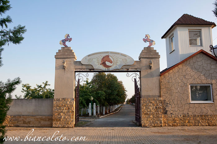 Великокняжеский конный завод.