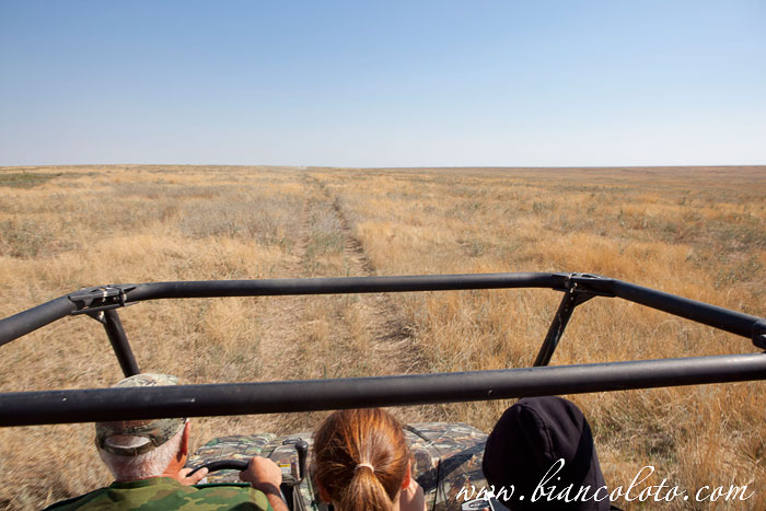 Поездка по острову