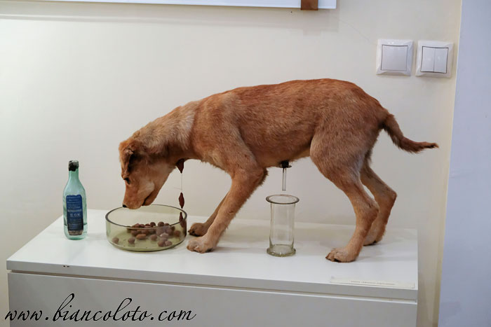 Музей-усадьба Ивана Петровича Павлова