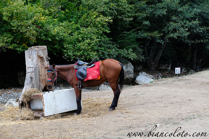 Каньон Токатлы. Сафранболу