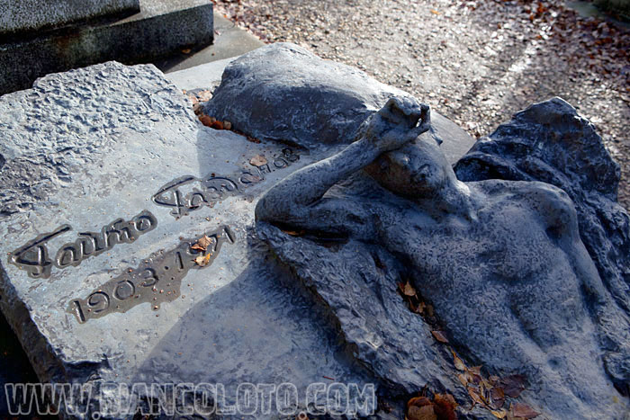 Гайто Газданов, участник белого движения, писатель 