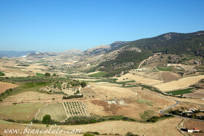 Самбука ди Сичилия