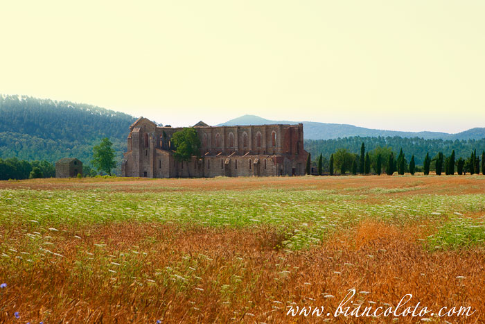 Аббатство Сан Гальгано. Тоскана. Италия