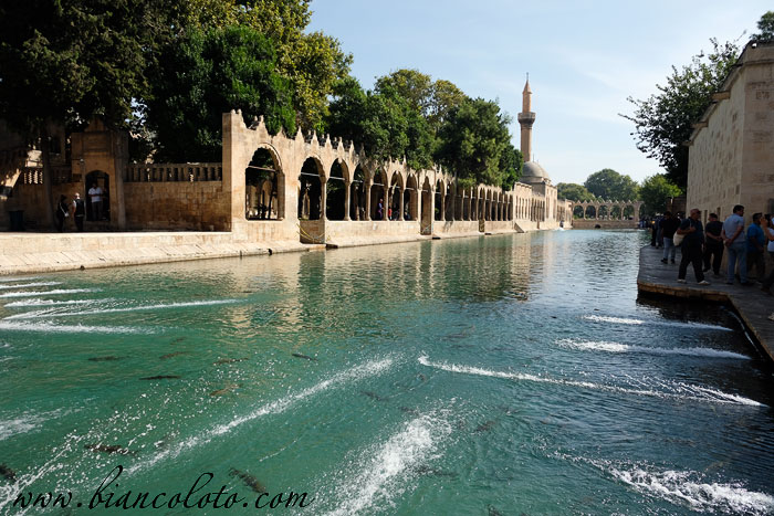 Авраам и озеро с рыбами