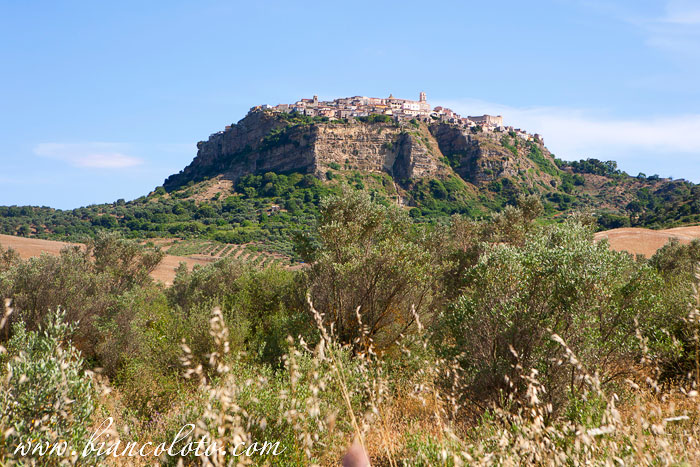 Санта Северина