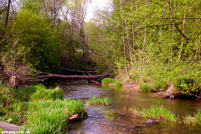 Саввино-Сторожевский монастырь