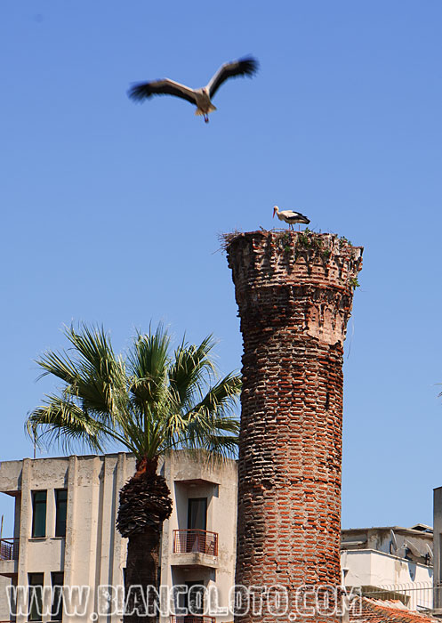 Сельчук. Турция.