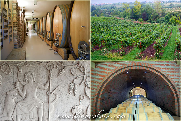 Винная Сербия