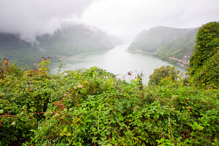 Вдоль Дуная