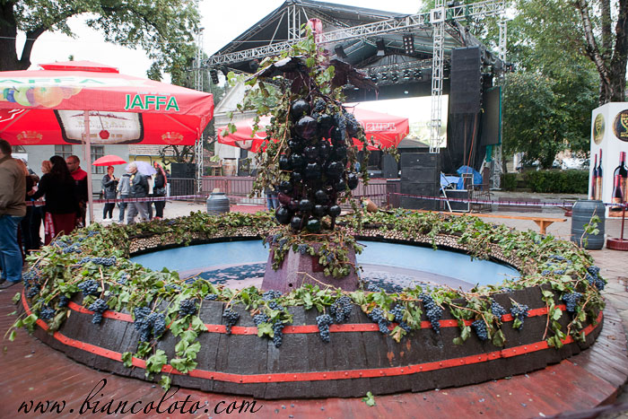 На фестивале в Жупе