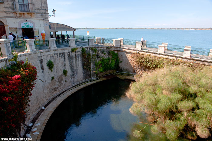 Родник Аретузы. Сиракуза