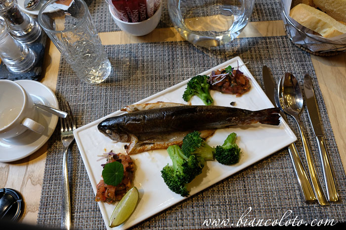 Краснополянская форель