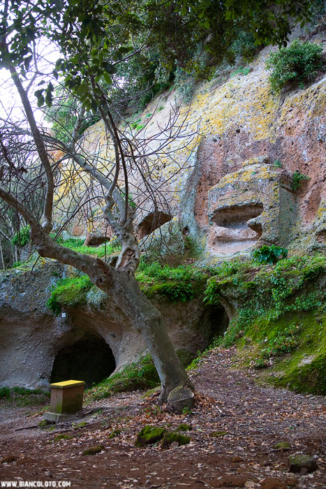 Некрополь этрусков, Сована