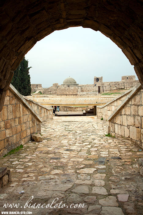 Цитадель. Алеппо. Сирия.