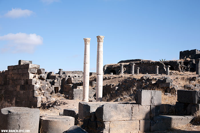 Босра. Сирия.