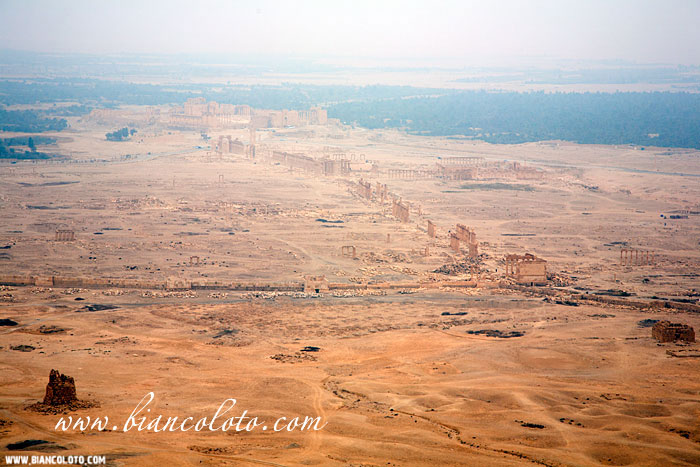 Вид на Пальмиру.  Пальмира. Сирия.