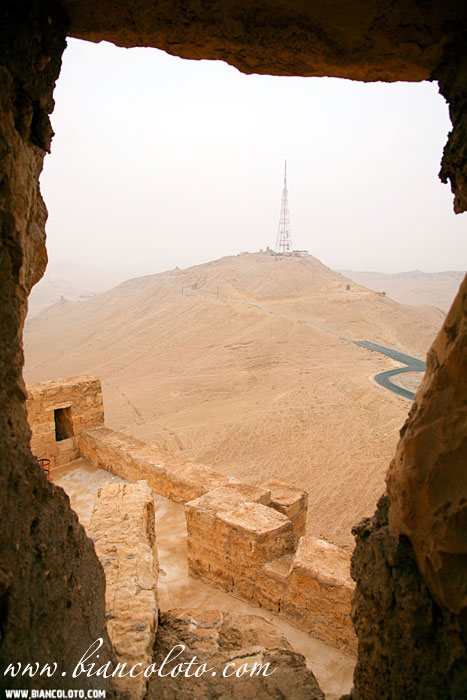 Цитадель. Пальмира. Сирия.