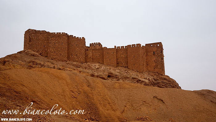 Пальмира. Сирия.