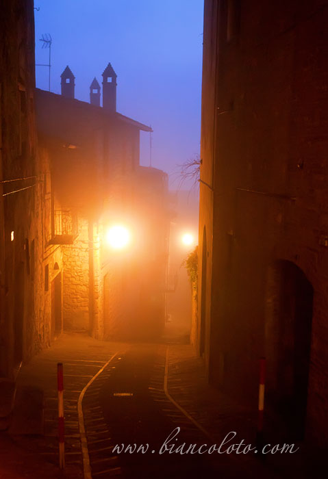 Ночной Тоди