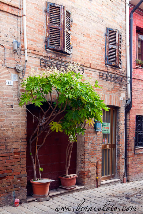 Улица Толентино