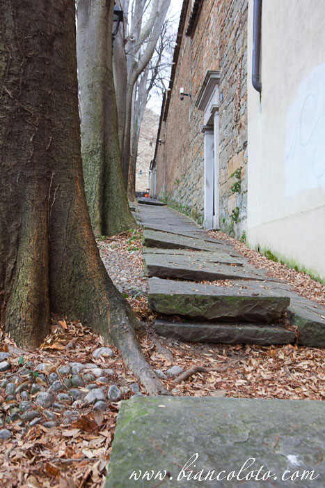  via della Cattedrale. Триест (Trieste)