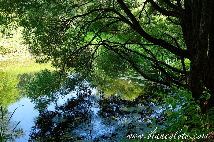 Усадьба Андрея Тимофеевича Болотова