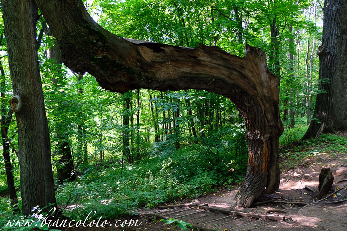 Усадьба Андрея Тимофеевича Болотова