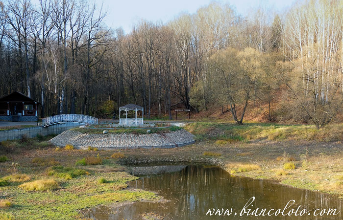 Тульский микс и релакс в загородном отеле Just WOOD