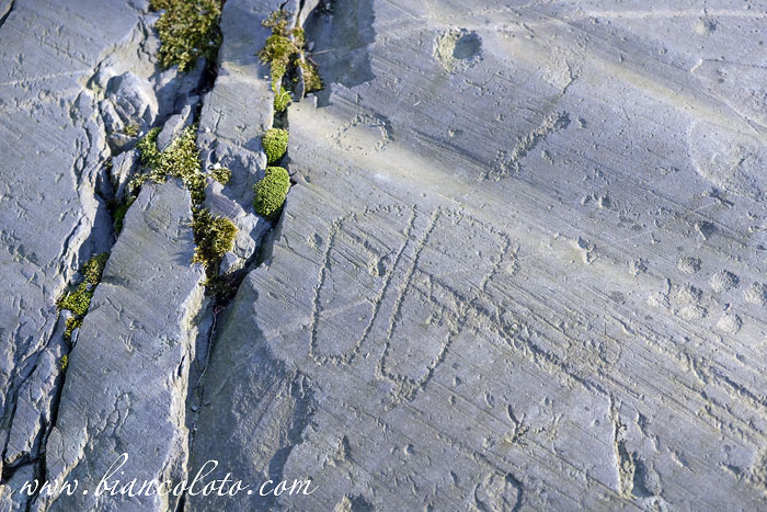 Наскальная живопись в Валькамонике (Valcamonica)