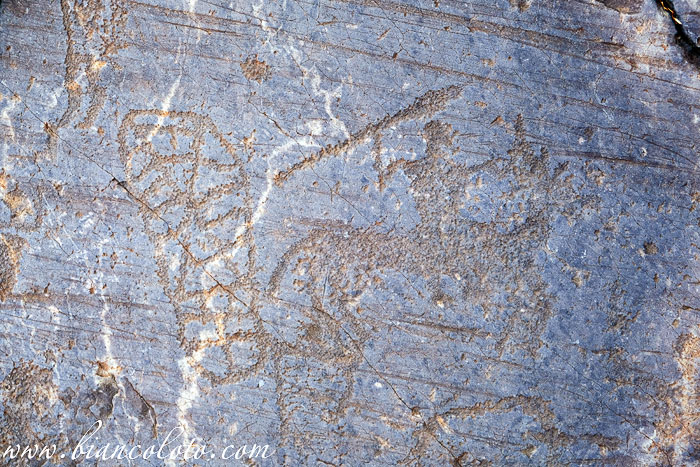 Наскальная живопись в Валькамонике (Valcamonica)