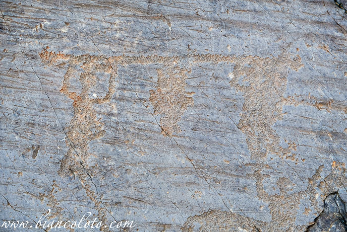 Наскальная живопись в Валькамонике (Valcamonica)