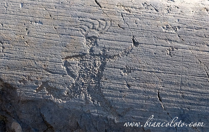 Валькамоника