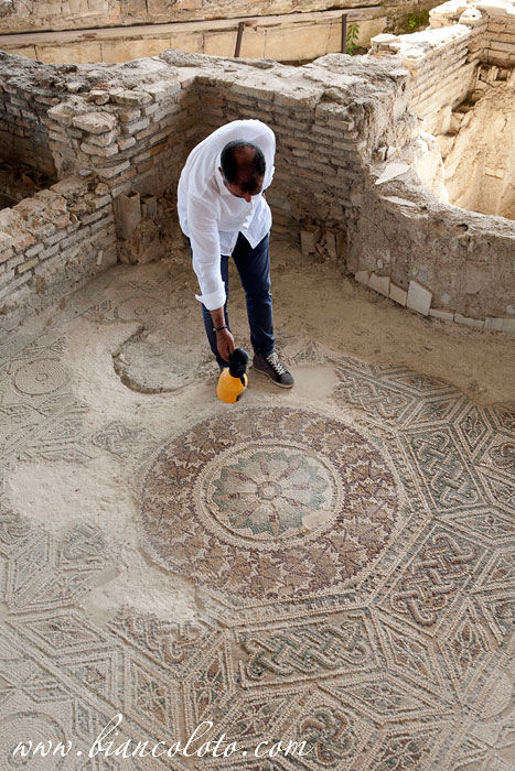 Мозаики виллы Казиньяна 