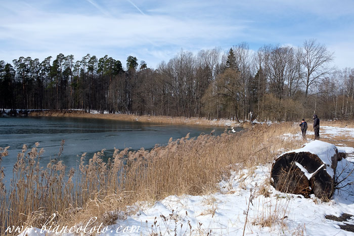 Волоколамский район
