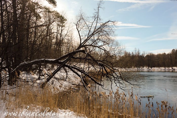 Волоколамский район