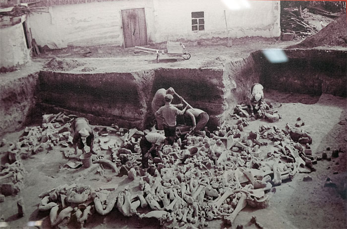 Фотография археологических раскопок в Костёнках