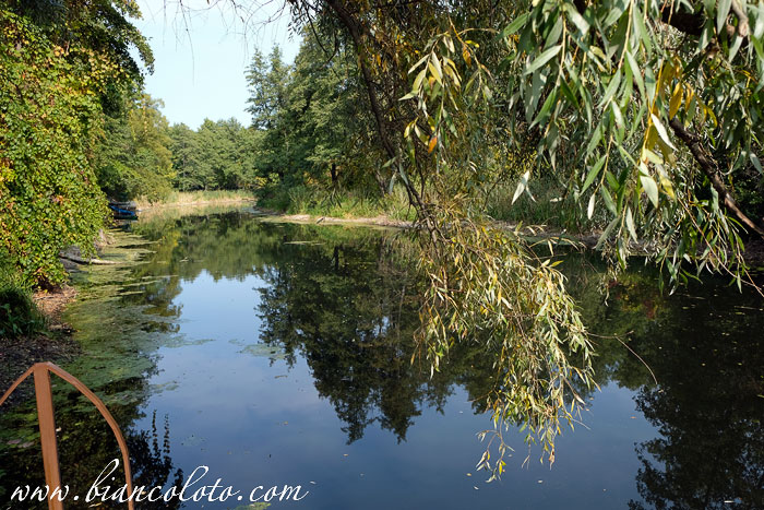 Воронежский Биосферный заповедник
