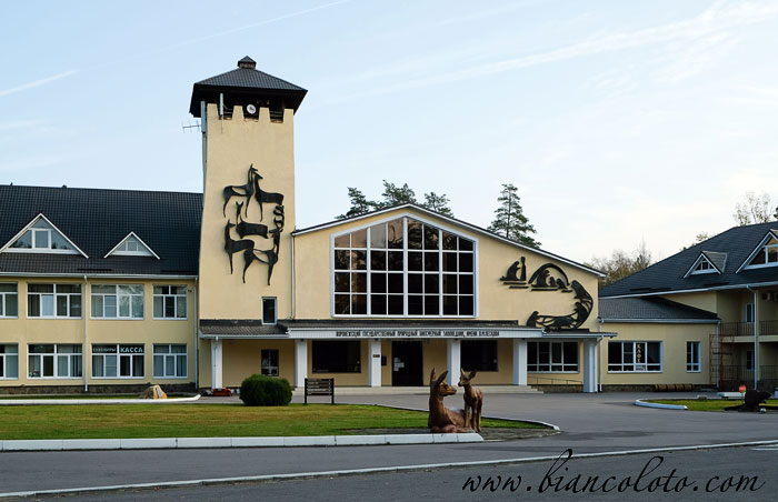 Воронежский биосферный заповедник