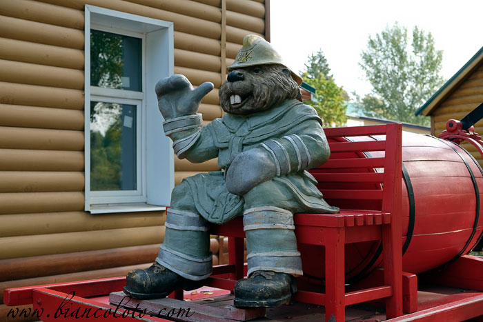 Воронежский биосферный заповедник