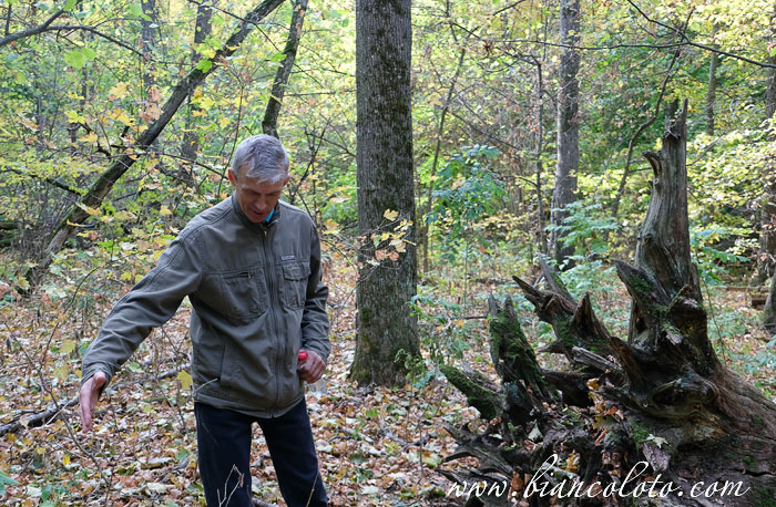 Игорь Воробьев